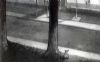 Frankenweenie
