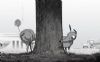 Frankenweenie