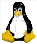 Ao completar 20 anos, Linux sofre ataque em site de desenvolvimento Tux, mascote do Linux. Sistema foi anunciado em 1991 (Foto: Divulgao)