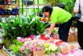 Mercado de Flores deve atrair mais de 2,5 mil pessoas 