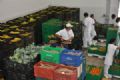 Banco de Alimentos arrecada 1,5 milho de quilos Banco de Alimentos arrecada 1,5 milho de alimentos em 9 meses. Foto: Divulgao/David Rego/PMSA