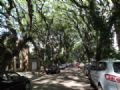 ''Rua mais bonita do mundo'' vira ponto turstico em Porto Alegre rvores formam espcie de tnel na Rua Gonalo de Carvalho, em Porto Alegre (Foto: Tatiana Lopes / G1)