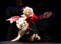 Teatro do Sesi Mau apresenta a pea ''Aventuras de Gulliver'' 
