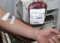 Postos de doao de sangue funcionam durante feriado  Imagem Ilustrativa. Foto: correiodeuberlandia.com.br