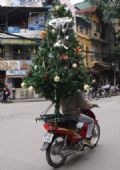 Entregador transporta rvore de Natal em moto no Vietn Entregador transportou rvore de Natal em moto no Vietn. (Foto: Hoang Dinh Nam/AFP )