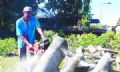 Mau autoriza remoo de 139 rvores em Capuava Foto: Andrea Iseki/DGABC
