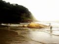Carcaa de baleia de 14 metros  achada em praia deserta de Perube Carcaa de baleia encalha em praia de Perube, no litoral de SP (Foto: Thiago Nascimento/Arquivo Pessoal) - G1 Santos