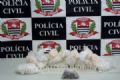 Policiais apreendem drogas em Mau Polcia encontrou crack, maconha e cocana em esconderijo em Mau. Foto: Divulgao