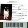 De mudana para a frica, gata do DF  o 1 animal do pas a ter passaporte Passaporte da gata que foi o primeiro animal do pas a receber passaporte; abaixo, o nmero de registro do documento (Foto: Reproduo)