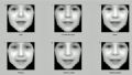  Fotos de expresses faciais podem revelar problemas genticos, diz estudo Programa junta automaticamente fotos de pacientes que tm a mesma doena gentica (Foto: Christoffer Nellaker/Universidade de Oxford)