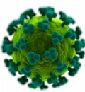  Cientistas conseguem ''desalojar'' HIV para combat-lo fora de ''refgio'' Cientistas conseguiram fazer HIV sair de 'esconderijo' para combat-lo (Foto: SKU/Science Photo Library)