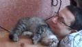Gato ''mais carinhoso do mundo'' faz de tudo ao agradar o dono na Rssia Gato 'mais carinhoso do mundo' fez de tudo para agradar o dono com afagos e at 'beijos' (Foto: Reproduo/YouTube/Brandon Wade)