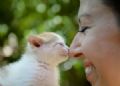  Momento carinhoso entre mulher e gatinho rfo faz sucesso na web Momento carinhoso entre mulher e gatinho faz sucesso (Foto: Andreea Alexandru/Mediafa/AP)