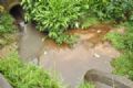 Prefeitura de Mau despolui 4,8 km de trechos de crregos Crrego com esgoto (na foto,  esquerda) encontra-se com gua limpa do Tamanduate, perto da nascente do rio. Foto: Edu Guimares