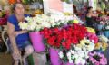 Floriculturas esto otimistas com as vendas para o Dia de Finados Foto: Claudinei Plaza/DGABC