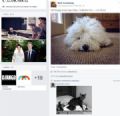 Aps ''zoeira brasileira'', Zuckerberg bloqueia comentrios em seu perfil Brasileiros bombardeiam perfil de Mark Zuckerberg no Facebook com memes e imagens que remetem ao Brasil. (Foto: Reproduo/Facebook)