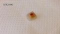  Dente humano  achado em batatas fritas de rede de fast-food no Japo Cliente de Osaka achou objeto bizarro em lanche do McDonalds (Foto: Reproduo/Twitter/Mas It)