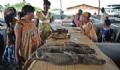 Mercado na Guin Equatorial vende at crocodilos como alimentos Mercados populares na Guin Equatorial vendem pangolins, macacos e at crocodilos como alimentos (Foto: Carl de Souza/AFP)