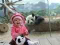  Panda vira hit ao sorrir para foto com beb nos EUA Panda virou hit ao sorrir para foto com beb (Foto: Reproduo/Imgur/FreedomSTR)