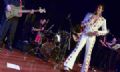 Elvis Cover, dana e lazer agitam fim de semana em Mau Show 'Elvis Presley e ElvisBack Big Bang' no Municipal de Mau 