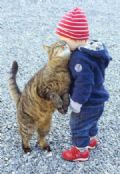 Beb e gato flagrados em 'momento carinhoso' viram hit na web Beb e gato fizeram sucesso nas redes sociais com 'momento carinhoso' (Foto: Reproduo/Reddit/John0019)