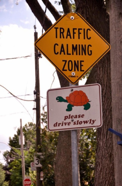 ''Placa com tartaruga'' alerta motorista para dirigir devagar no Canad Tartaruga aparece com advertncia: 'por favor, dirija devagar' (Foto: Cau Fabiano/G1)