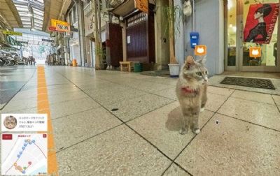  Street View de gatos? Prefeitura no Japo mostra ruas sob olhar felino Prefeitura de Hiroshima criou Street View na perspectiva de gatos (Foto: Reproduo/Cat Street View)