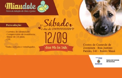 Miaudote tem 70 animais para adoo em So Caetano neste sbado Desde 2013, com o sucesso das feiras de adoo, mais de 300 ces e gatos ganharam novo lar. Crdito: PMSCS
