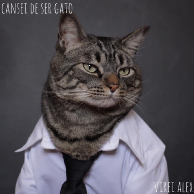  Gato de Santo Andr encarna personagens e faz sucesso na web Foto: Reproduo / Facebook