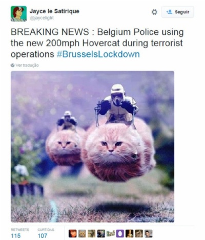 Fotos de gatos invadem redes sociais durante ao antiterrorista na Blgica Belga publica foto de gato durante as operaes antiterroristas da polcia. (Foto: Reproduo/Twitter)