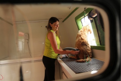 Empresa leva banho e tosa em domiclio para animais de estimao Renata em ao no pet mvel, negcio que cresce e vai ganhar mais uma unidade. Foto: Rodrigo Pinto
