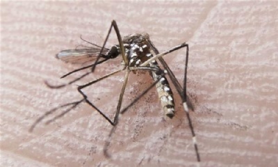 Planos so obrigados a cobrir testes rpidos de dengue e chikungunya DGABC