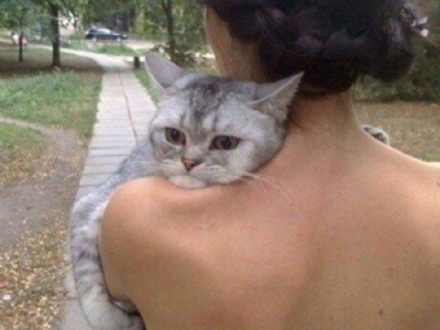 ''Gato aborrecido'' vira hit ao ser fotografado no ombro de dona Foto: Reproduo/Imgur/NDelRey