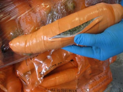 Traficantes tentam entrar nos EUA com maconha disfarada de cenouras Maconha estava disfarada entre carga de cenouras (Foto: US Customs and Border Protection)