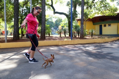 ABCD tem aumento no nmero de parques que permitem cachorros ' importante ter lugares para os cezinhos brincarem', disse a instrutora Cristiane Marques, 52. Foto: Andris Bovo