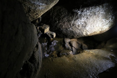 Vida prolifera na nascente do Tamanduate Em 2013 equipes da Prefeitura identificaram e removeram foco de descarte irregular de esgoto na gruta. Foto: Andris Bovo