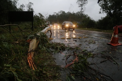 Temporal causa estragos na rodovia ndio Tibiri rvores caram na rodovia ndio Tibiri devido ao forte temporal. Foto: Andris Bovo