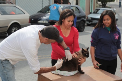 Mais de 5 mil animais vacinados na primeira semana de campanha Crdito: Rodrigo Zerneri/PMM