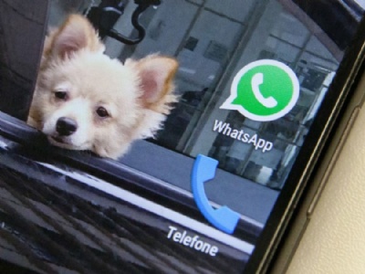 Autoridades da Europa vo avaliar mudana na privacidade do Whatsapp cone do Whatsapp, um dos aplicativos de conversa mais populares do mundo,  visto na tela de um smartphone (Foto: Fbio Tito/G1)