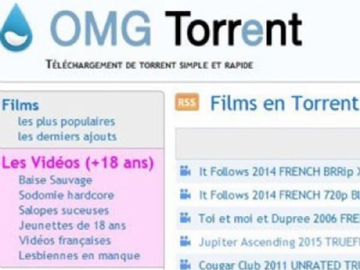 Proprietrio de site de filmes piratas pega 8 meses de priso na Frana Capa do site francs OMGTorrent (Foto: Reproduo/OMGTorrent)