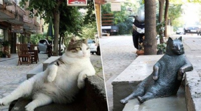 Istambul faz esttua para celebrar gato amado pela vizinhana O gatinho Tombili e sua esttua (Foto: Tombili/Facebook) 