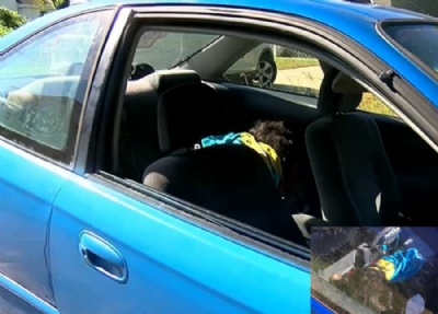 Polcia americana quebra vidro de carro aps confundir peruca com beb Polcia de Suffolk quebrou vidro de carro aps confundir peruca como sendo criana em perigo (Foto: Reproduo/YouTube)