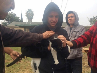 Gato  resgatado aps ficar 9 dias preso em poste a 14m de altura nos EUA Fat Boy  devolvido a seu dono. (Foto: Mackenzie Mays/The Fresno Bee va AP) 