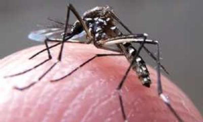 Chikungunya  o maior desafio de sade pblica em 2017, diz ministro Foto: Rafael Neddermeyer / Fotos Pblicas