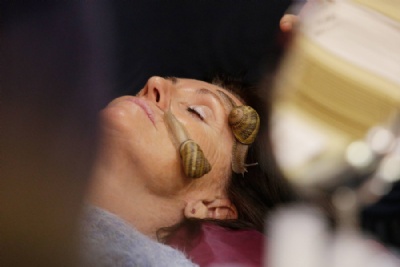 Feira na Frana oferece massagens faciais com caramujos Caramujos so usados em massagem facial (Foto: Geoffroy Van Der Hasselt/AFP) 