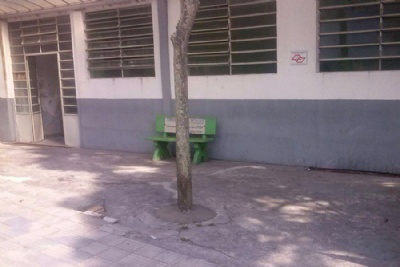 rvore cimentada revolta morador de Ribeiro Pires rvore est plantada em frente a UBS Central Yutaka Ishirara, no Centro. Foto: Alaor Vieira 