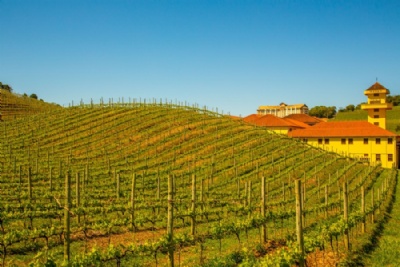 Produo de vinho estimula o turismo no pas Crdito: Embratur