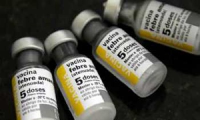 Brasil voltar a exportar vacinas contra a febre amarela Foto de divulgao