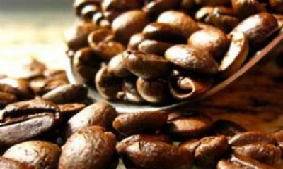 Exportaes de caf do Brasil vo diminuir Foto de divulgao 
