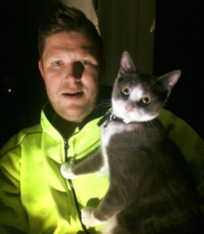 Australianos pedem que empresa desligue energia para resgatar gatinho O gatinho Ash aps o resgate. (Foto: Canberra Pet Rescue/Facebook) 